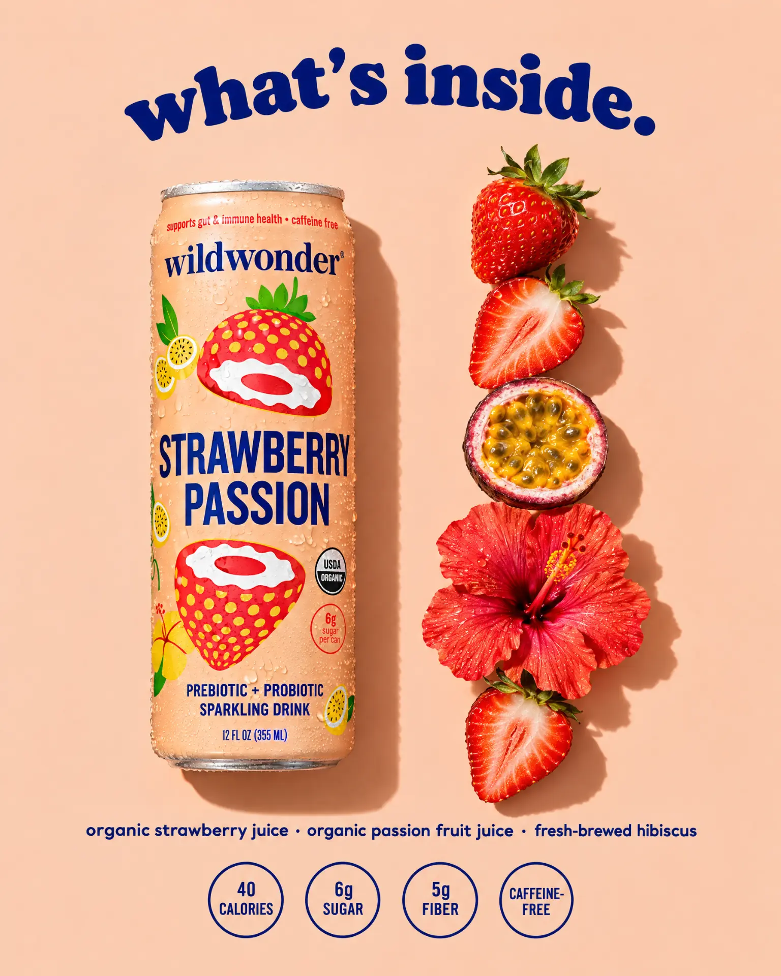 Sparkling drink static ad — what's inside, can beside strawberry, passion fruit and hibiscus ingredients